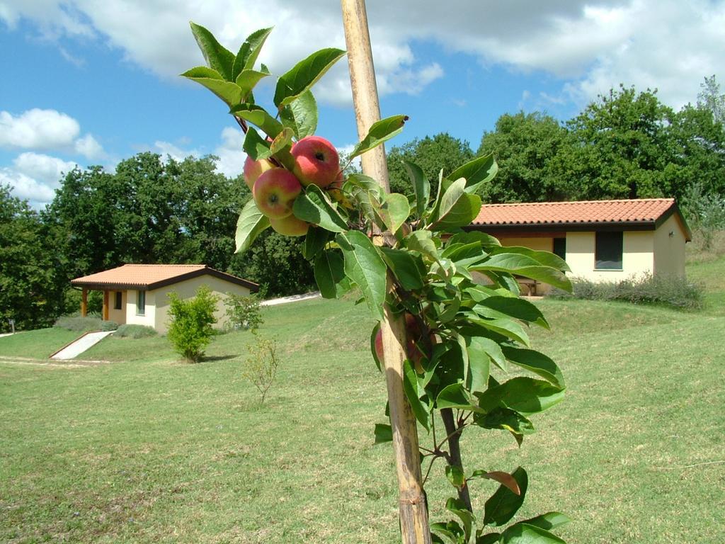 Valle Del Lupo San Ginesio Екстер'єр фото